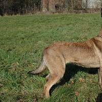 luca-395728.jpg