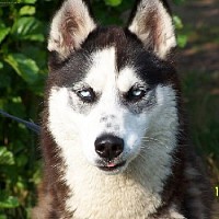 luca-395729.jpg