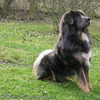 luca-395740.jpg