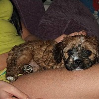 luca-399101.jpg