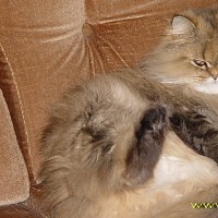 luca-399103.jpg