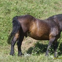luca-399104.jpg