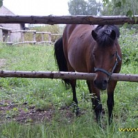luca-399107.jpg