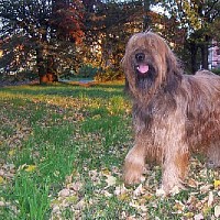 luca-408155.jpg