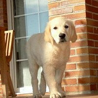 luca-414223.jpg