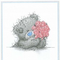 luca-415436.jpg