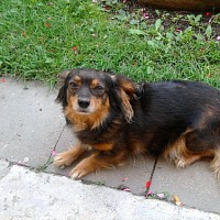 luca-420833.jpg