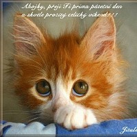 luca-466375.jpg