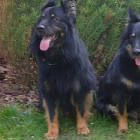 luca-466429.jpg