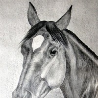 luca-653574.jpg