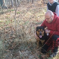 luca-655167.jpg