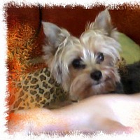 luca-764581.jpg