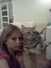 adelka-415588.jpg