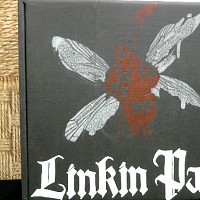 lprockgirl-493020.jpg