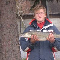 dabel-525980.jpg