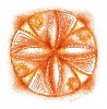 zdenasva-436655.jpg