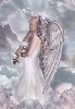 zdenasva-436668.jpg