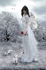 zdenasva-510463.jpg