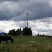 zdenasva-512651.jpg