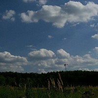 zdenasva-540387.jpg
