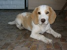aju-99591.jpg