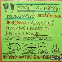 plombacek-276317.jpg