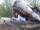 retrivr-575012.jpg