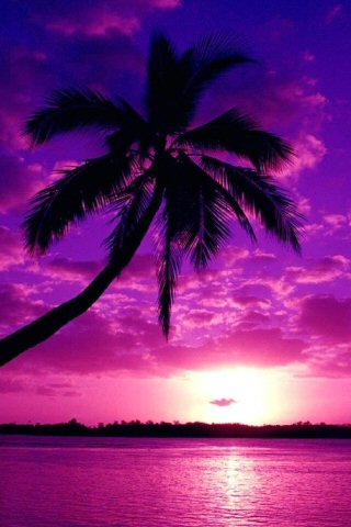 katerinahu