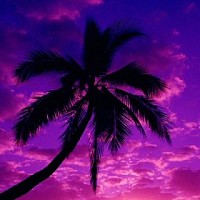 katerinahu-319816.jpg