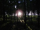 seneca-509191.jpg