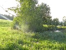 seneca-518486.jpg