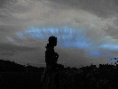 seneca-524674.jpg