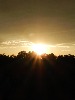 seneca-527569.jpg