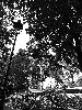 seneca-528467.jpg