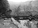 seneca-534348.jpg