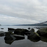 seneca-592179.jpg