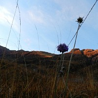 seneca-592184.jpg
