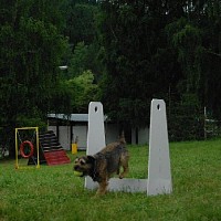 ennie-217808.jpg