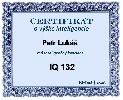 pokakakal-317808.jpg