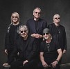 deep-purple-651740.jpg