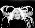 blondie-138357.jpg