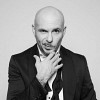 pitbull-643561.jpg