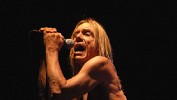 iggy-pop-403402.jpg