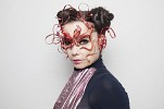 bjork-587609.jpg