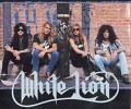 white-lion-233463.jpg