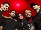 zebrahead-50369.jpg