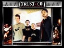 trust-company-168498.jpg