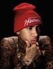 tyga-480640.jpg