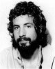 cat-stevens-645572.jpg