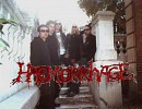 haemorrhage-28774.jpg